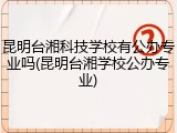 昆明台湘科技学校有公办专业吗(昆明台湘学校公办专业)