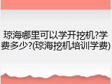 琼海哪里可以学开挖机?学费多少?(琼海挖机培训学费)