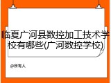 临夏广河县数控加工技术学校有哪些(广河数控学校)