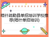 喀什疏勒县单招培训学校推荐(喀什单招培训)