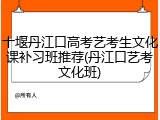 十堰丹江口高考艺考生文化课补习班推荐(丹江口艺考文化班)