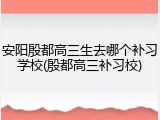 安阳殷都高三生去哪个补习学校(殷都高三补习校)