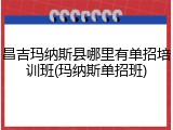 昌吉玛纳斯县哪里有单招培训班(玛纳斯单招班)