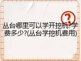 丛台哪里可以学开挖机?学费多少?(丛台学挖机费用)