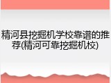 精河县挖掘机学校靠谱的推荐(精河可靠挖掘机校)