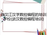 武汉江汉学数控编程的培训学校(武汉数控编程培训)