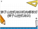 狮子山挖机培训机构哪家好(狮子山挖机培训)