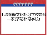 十堰茅箭文化补习学校是哪一家(茅箭补习学校)
