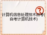 计算机信息处理技术自考(自考计算机技术)