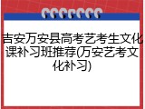 吉安万安县高考艺考生文化课补习班推荐(万安艺考文化补习)