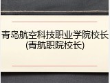 青岛航空科技职业学院校长(青航职院校长)