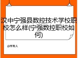 汉中宁强县数控技术学校职校怎么样(宁强数控职校如何)