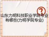 山东力明科技职业学院专业有哪些(力明学院专业)