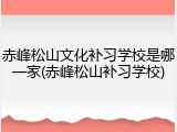 赤峰松山文化补习学校是哪一家(赤峰松山补习学校)
