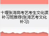 十堰张湾高考艺考生文化课补习班推荐(张湾艺考文化补习)