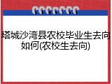 塔城沙湾县农校毕业生去向如何(农校生去向)