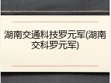 湖南交通科技罗元军(湖南交科罗元军)
