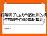 铜陵狮子山找单招集训的机构有哪些(铜陵单招集训)