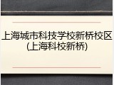 上海城市科技学校新桥校区(上海科校新桥)