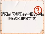 邵阳武冈哪里有单招的学校啊(武冈单招学校)