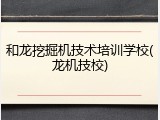 和龙挖掘机技术培训学校(龙机技校)