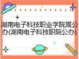 湖南电子科技职业学院属公办(湖南电子科技职院公办)