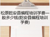松原乾安县编程培训学费一般多少钱(乾安县编程培训学费)