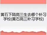 黄石下陆高三生去哪个补习学校(黄石高三补习学校)