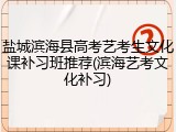 盐城滨海县高考艺考生文化课补习班推荐(滨海艺考文化补习)