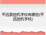 平远县挖机学校有哪些(平远挖机学校)