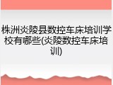 株洲炎陵县数控车床培训学校有哪些(炎陵数控车床培训)