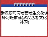 武汉蔡甸高考艺考生文化课补习班推荐(武汉艺考文化补习)