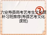 六安寿县高考艺考生文化课补习班推荐(寿县艺考文化课班)