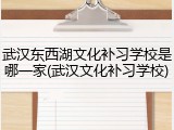武汉东西湖文化补习学校是哪一家(武汉文化补习学校)
