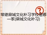 常德鼎城文化补习学校是哪一家(鼎城文化补习)