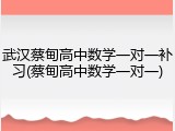 武汉蔡甸高中数学一对一补习(蔡甸高中数学一对一)