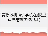 青原挖机培训学校在哪里(青原挖机学校地址)