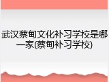 武汉蔡甸文化补习学校是哪一家(蔡甸补习学校)