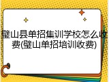 璧山县单招集训学校怎么收费(璧山单招培训收费)