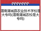 渭南蒲城县农业技术学校是大专吗(渭南蒲城农校是大专吗)