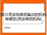 银川灵武找单招集训的机构有哪些(灵武单招机构)