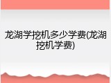 龙湖学挖机多少学费(龙湖挖机学费)