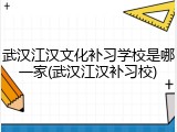 武汉江汉文化补习学校是哪一家(武汉江汉补习校)