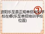 资阳乐至县正规单招培训学校在哪(乐至单招培训学校位置)