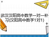 武汉汉阳高中数学一对一补习(汉阳高中数学1对1)