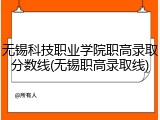 无锡科技职业学院职高录取分数线(无锡职高录取线)