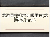 龙游县挖机培训哪里有(龙游挖机培训)