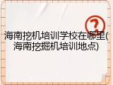 海南挖机培训学校在哪里(海南挖掘机培训地点)