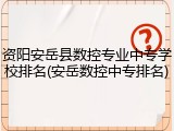 资阳安岳县数控专业中专学校排名(安岳数控中专排名)