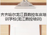 齐齐哈尔龙江县数控车床培训学校(龙江数控培训)